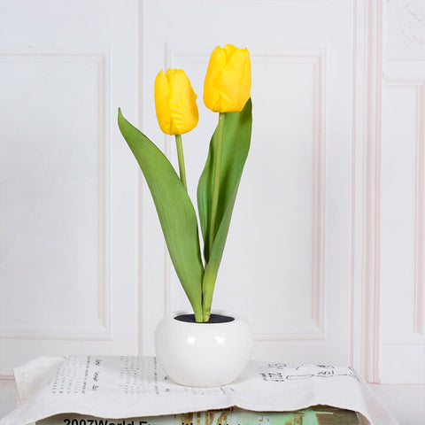Tulip table lamp