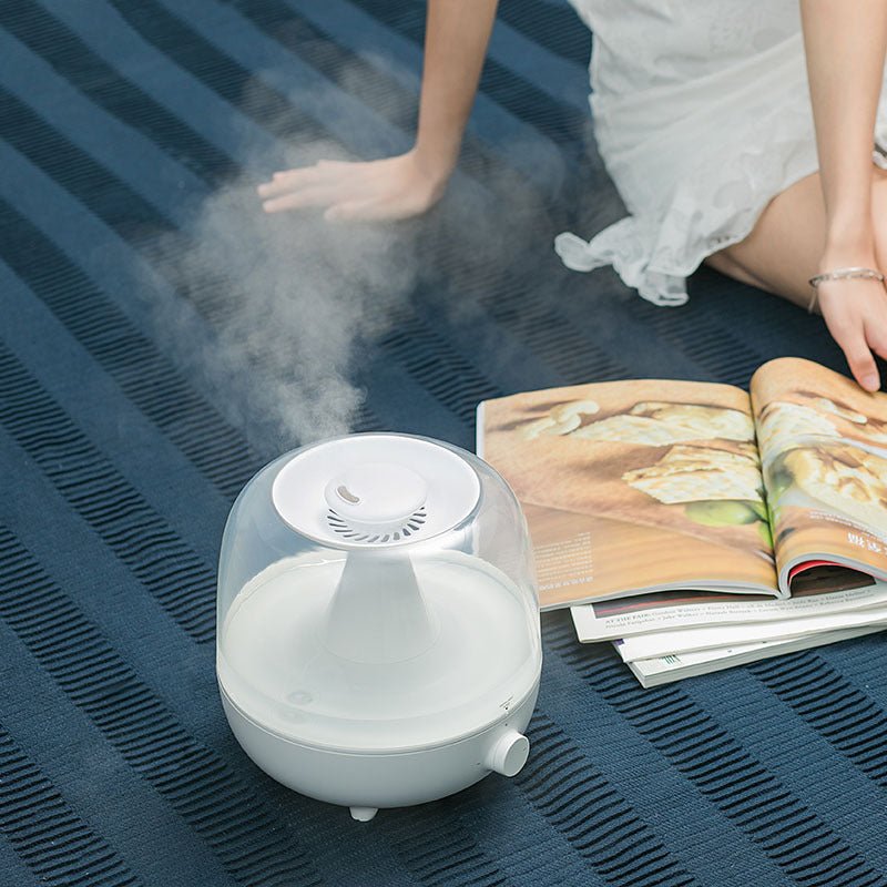 Aromatherapy Household Humidifier - Iandy