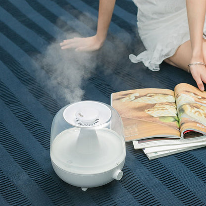 Aromatherapy Household Humidifier - Iandy