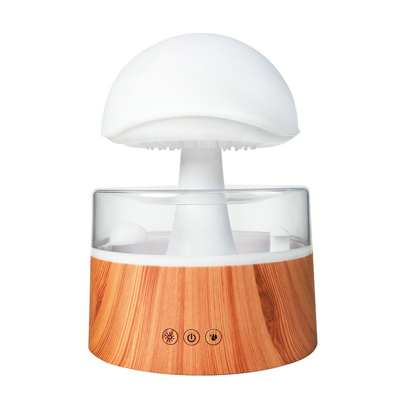 Cloud Rain Humidifier - Iandy