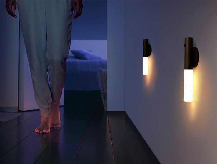 Induction Lamp with Magnetic Mount - Iandy