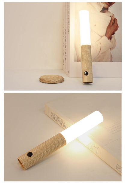 Induction Lamp with Magnetic Mount - Iandy