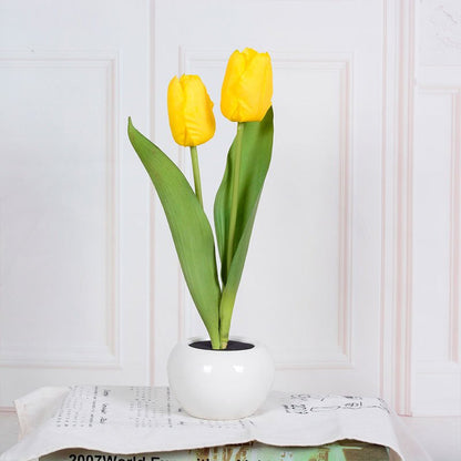 LED Tulip Table Lamp - Iandy