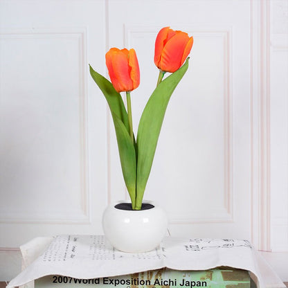 LED Tulip Table Lamp - Iandy