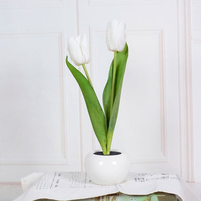 LED Tulip Table Lamp - Iandy