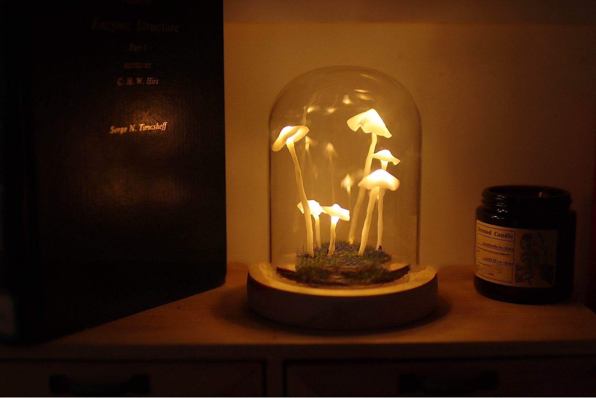 Mushroom Shaped DIY Atmosphere Lamp - Iandy