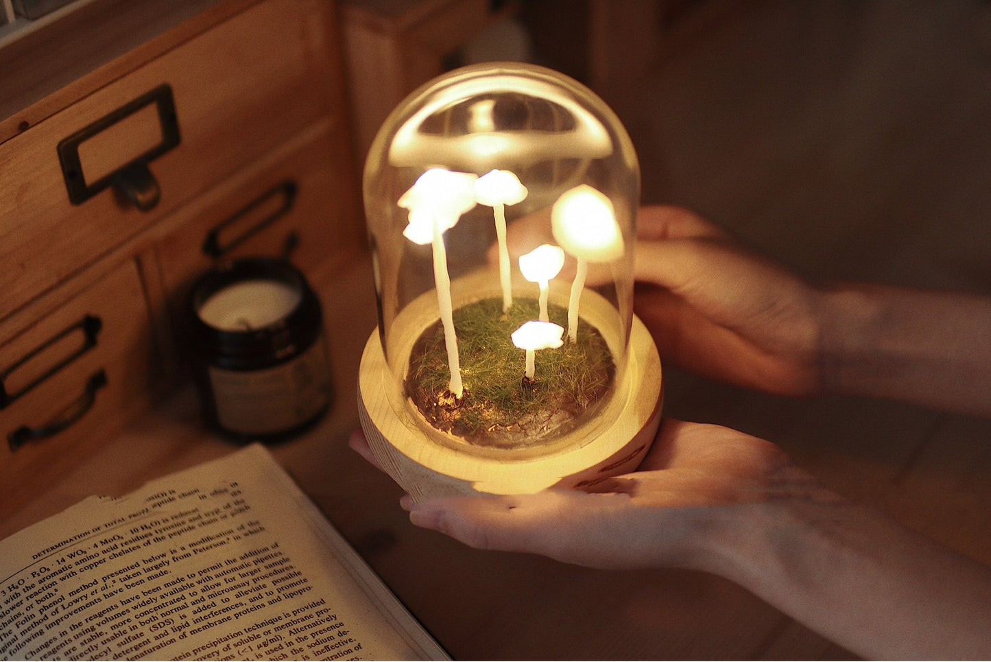 Mushroom Shaped DIY Atmosphere Lamp - Iandy