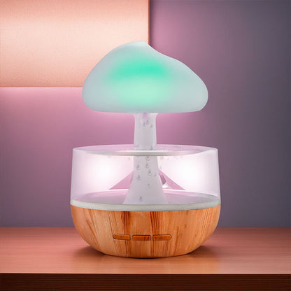 Raining Cloud Humidifier - Iandy